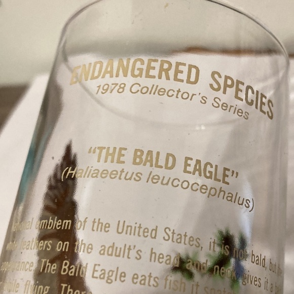 VINTAGE BURGER CHEF "THE BALD EAGLE" 1978 ENDANGERED SPECIES COLLECTORS Glass - Picture 10 of 13